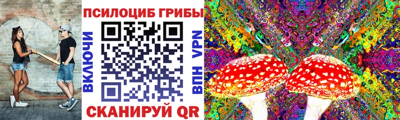Галлюциногенные грибы мицелий  Опочка 